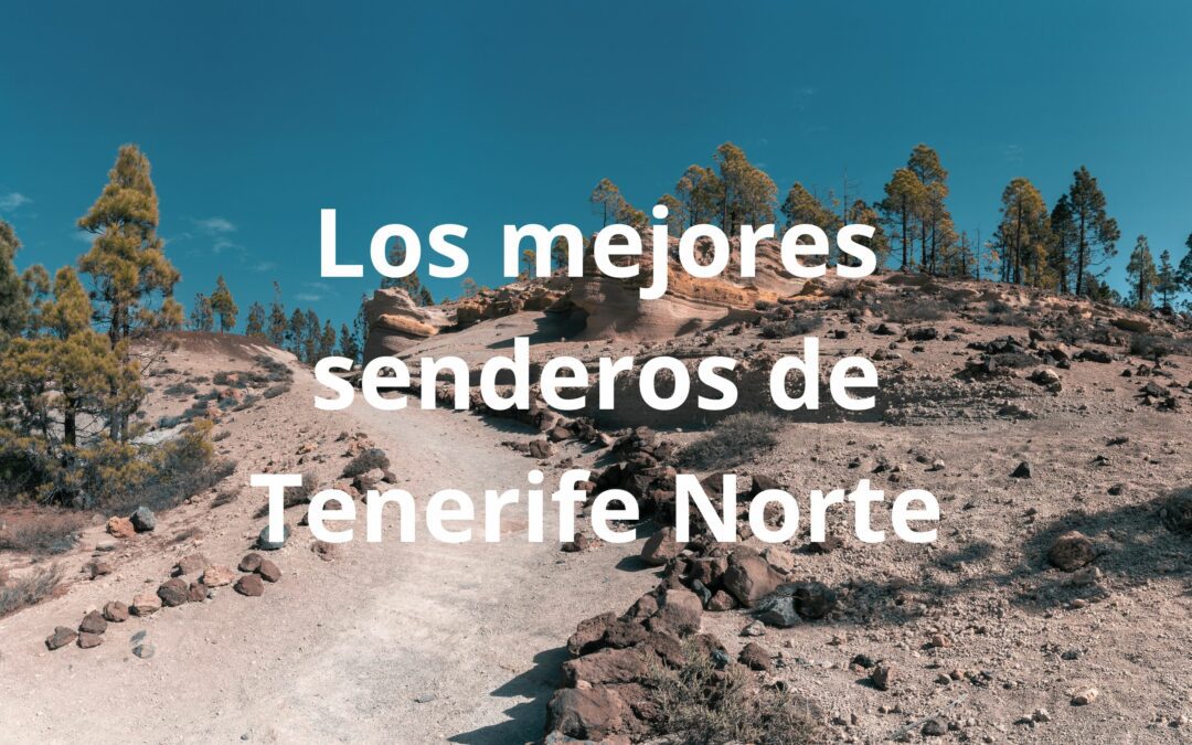 Los mejores senderos de Tenerife Norte
