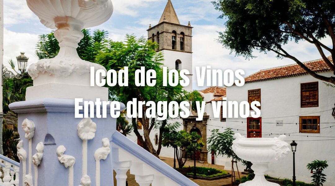 Icod de los Vinos, between dragon trees and vineyards